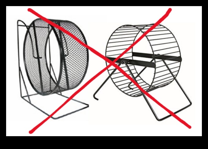 Eğlence Tekerleği: Hamsterınız İçin En İyi Egzersiz Tekerleğini Seçmek