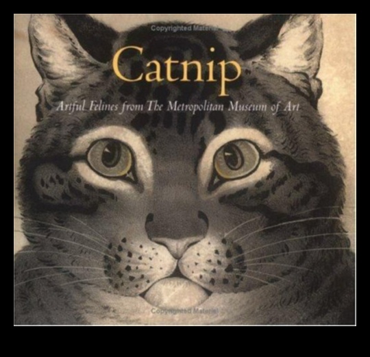 Catnip Chronicles: Bu kedi favorisinin sırlarını ortaya çıkarmak