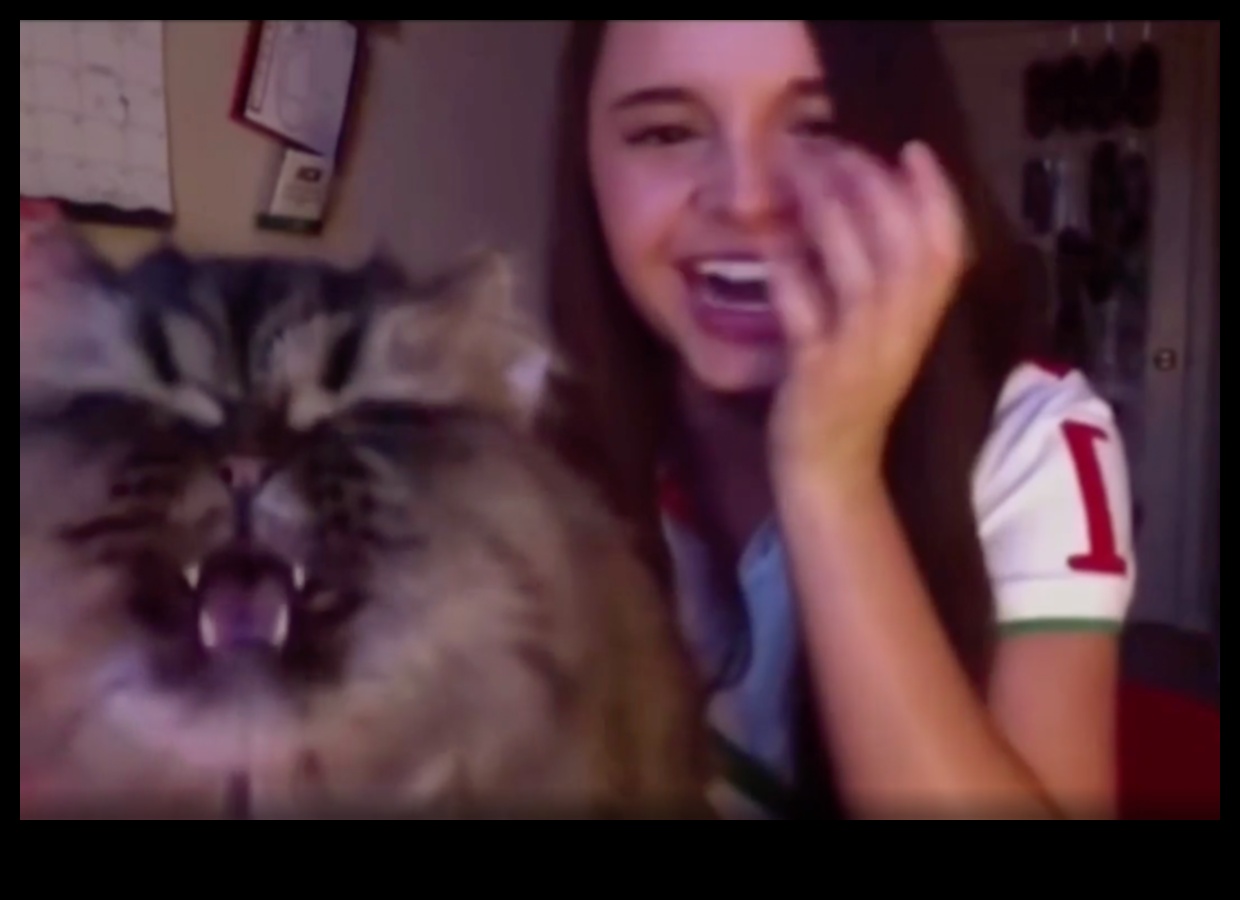 Kitty Karaoke: Kediniz için Müzikal Anlar Yaratmak
