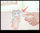 Hamster diş sağlığı diş problemlerinin belirtilerini tanımaya devam etti