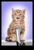 Kitty karaoke kediniz için müzikal anlar yaratan